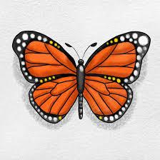 Butterflies: 7-12 In Person Homeschool Classes