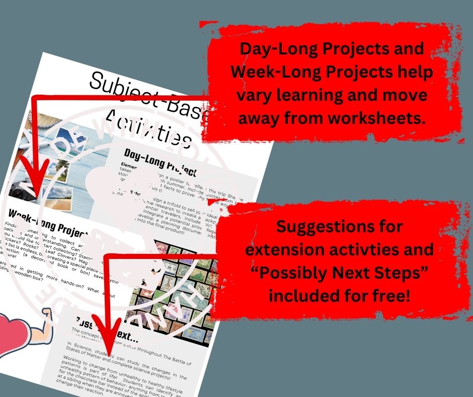 Battle of Junk Mountain By Lauren Abbey Greenberg Novel Study - Image 4